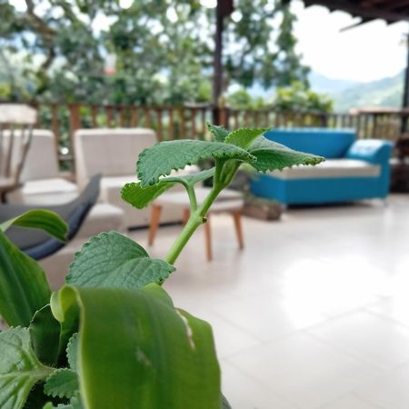 Hostal Los Wichos มินกา ภายนอก รูปภาพ