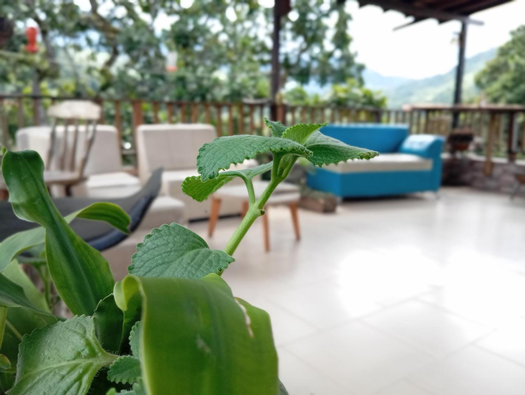 Hostal Los Wichos มินกา ภายนอก รูปภาพ